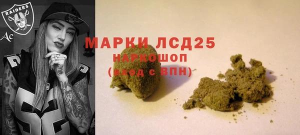 крисы Армянск