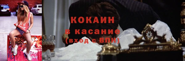 Альфа ПВП Аркадак