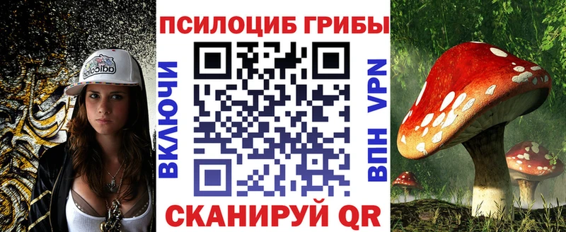 Галлюциногенные грибы GOLDEN TEACHER  Купить где  Верея 